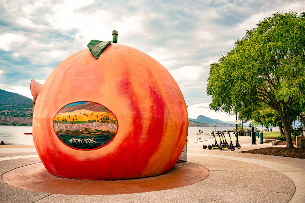 Penticton Peach