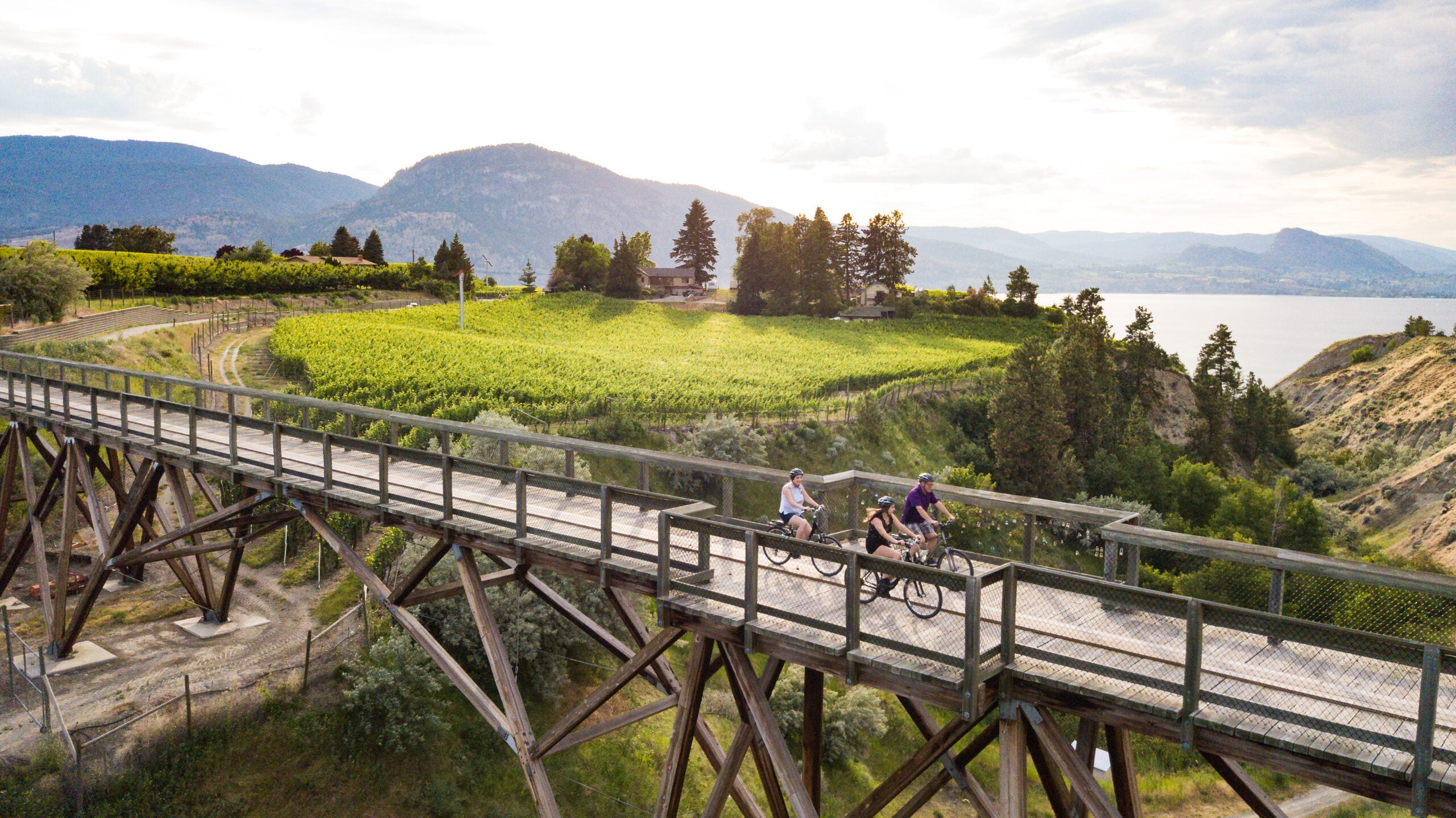 Cycling KVR_McCulloch Trestle_2018 - Visit Penticton