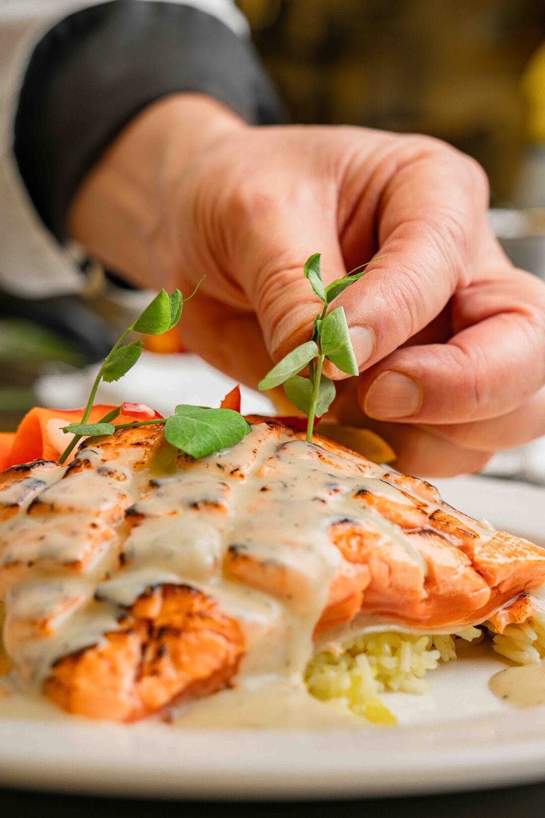 Salmon
